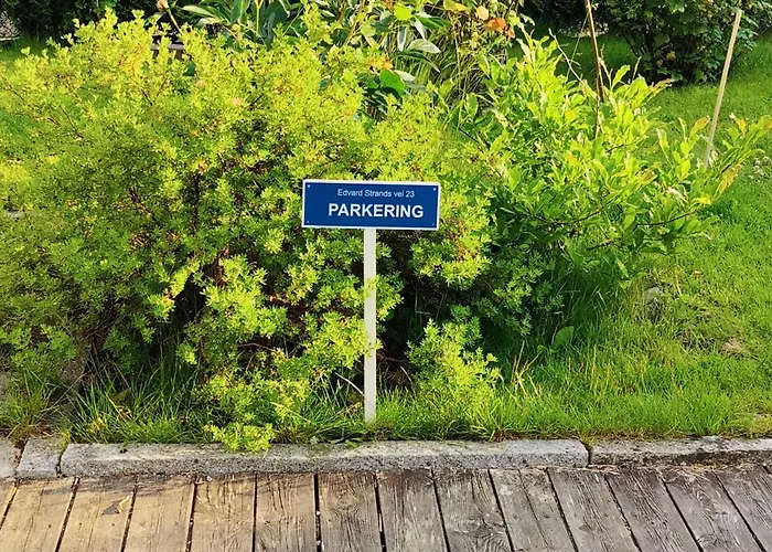 Oya Husrom-Enkeltsenger-Sovesofa-Kjokken
